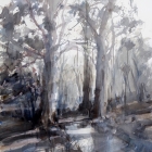 Candlebark-trees-painting-at-the-shady-pool