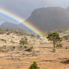 Pot-of-gold-buried-under-tree