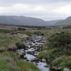 Sally Gap