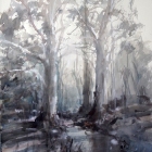 Heysons-Candlebark-Trees-at-the-Shady-Pool-WC-54-x-74cm