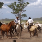 Gauchos in Buenos Aires