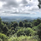 Coming-into-Cooktown