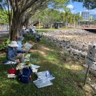 Group painting on Cairns-foreshore