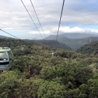 Sky-Rail-over-rainforest-Cairns
