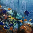 Life Aquatic (WC, 1000 x1200cm)