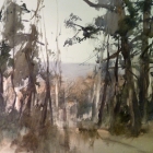 The forest viewed from the Cradle Mountain Hotel