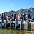 The group at Coles Bay