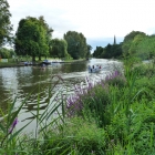 The beautiful Avon River and Trinity Church at Stratford-upon-Avon (burial site of Shakespeare)