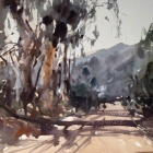 Flinders Ranges WC 74x54cm
