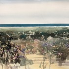 Painting-of-wildflowers-at-Namburg-National-Park