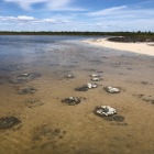 Stromatolites-at-Lake-Thetis